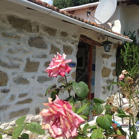 Villa D'Arte 모르톨라수페리오레 객실 사진