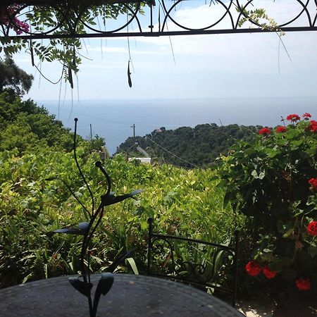 Villa D'Arte 모르톨라수페리오레 객실 사진